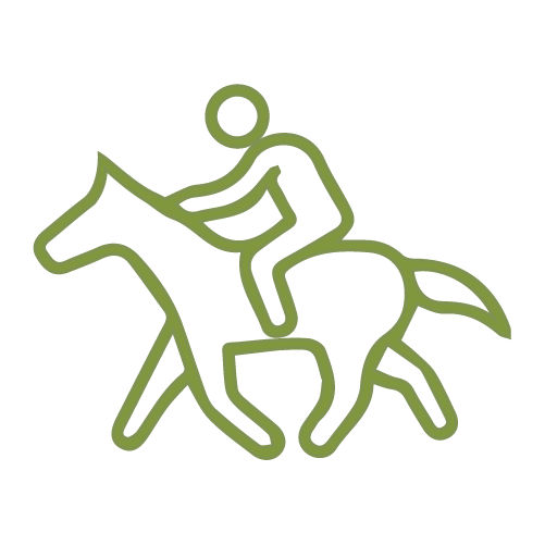 iconos-jocotours-Horseback Riding-