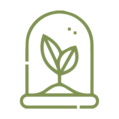 iconos-jocotours-nurseries reforestation